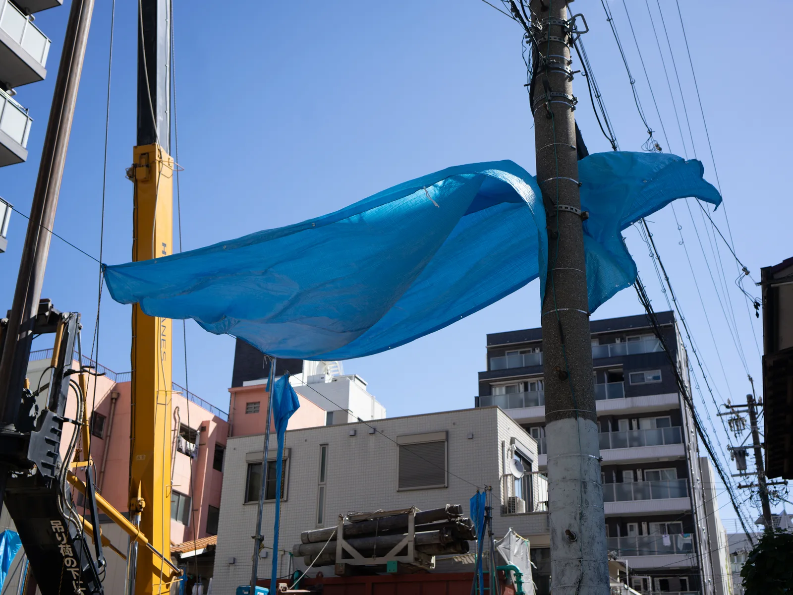 photo: Ryo Adachi